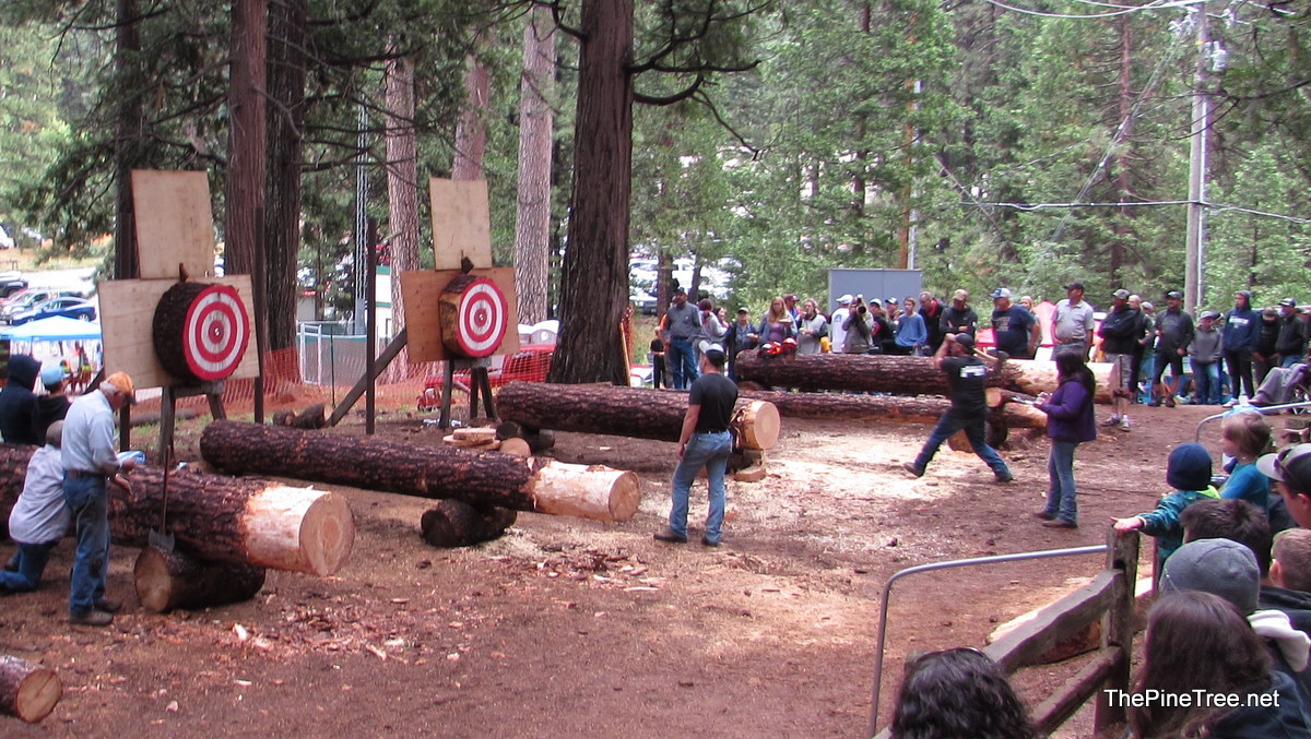 LoggingJamboree23 (73)