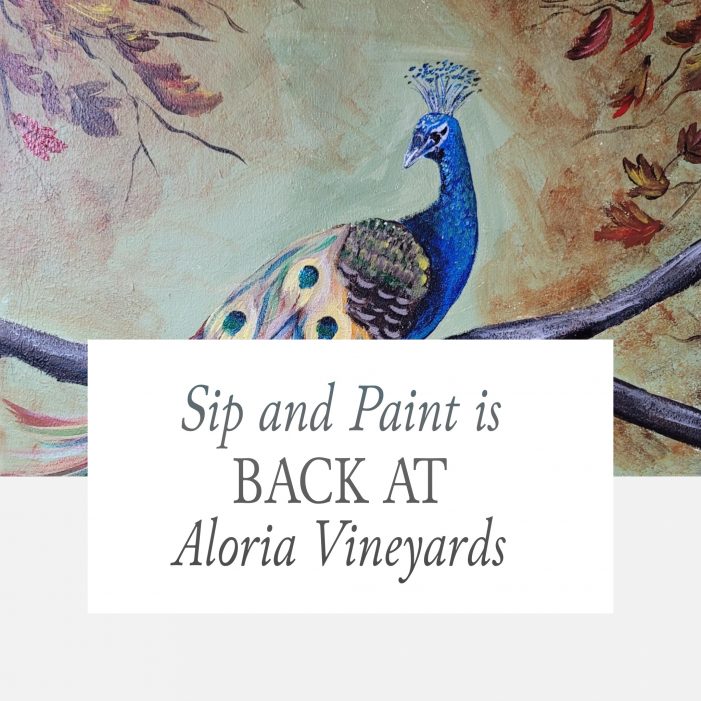 Aloria Vineyards Monthly First Saturday Paint and Sip is November 4th