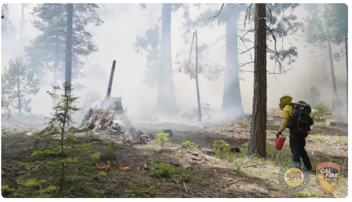 Prescribed Burn at Calaveras Big Trees State Park Now Scheduled to Start October 13th