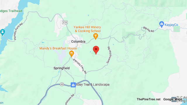 Traffic Update….Possible Injury Vehicle vs Tree Collision on Columbia College Drive