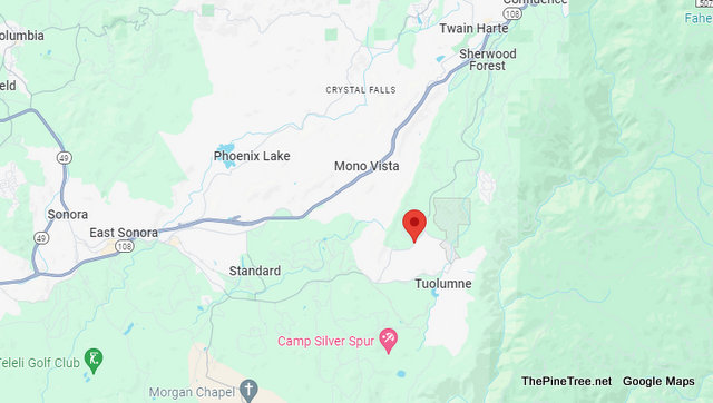 Traffic Update….Two Labs Taking Themselves for a Walk Near N Tuolumne Rd / Cherokee Rd