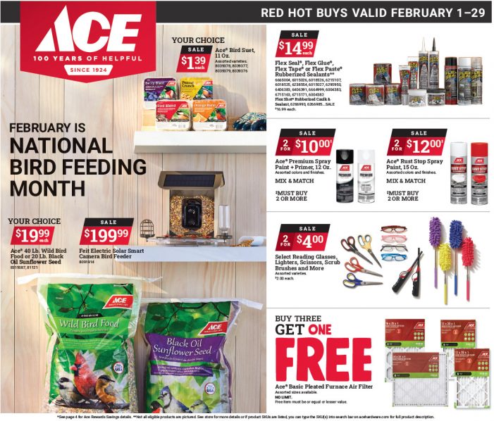 Sender’s Market Ace Hardware February Red Hot Buys