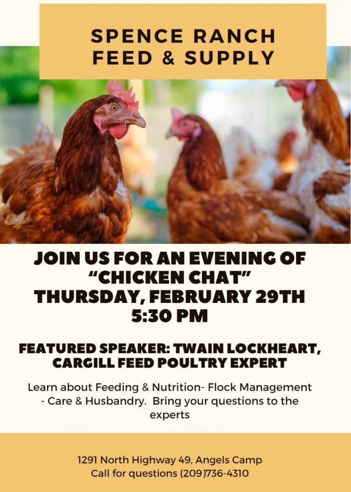 Baby Chicks Have Arrived at Spence Ranch!  Reserve Your Spot for Chicken Chat on February 29th!