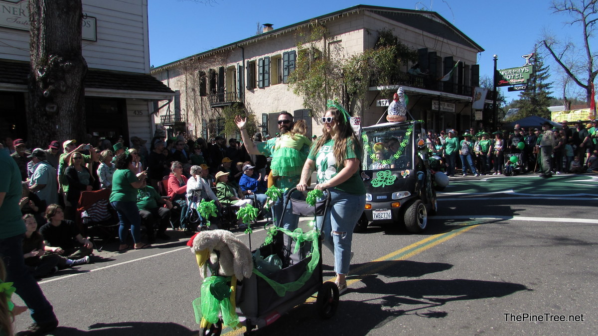 IrishDay242 (483)