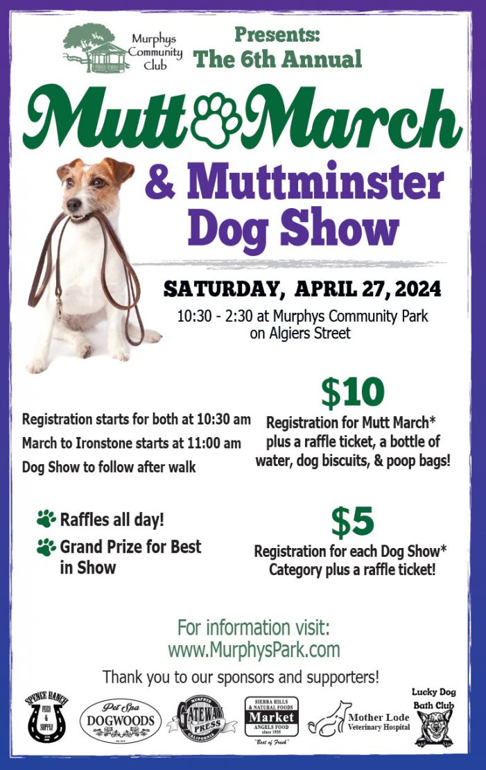 The 2024 Murphys Mutt March & Muttminster Dog Show