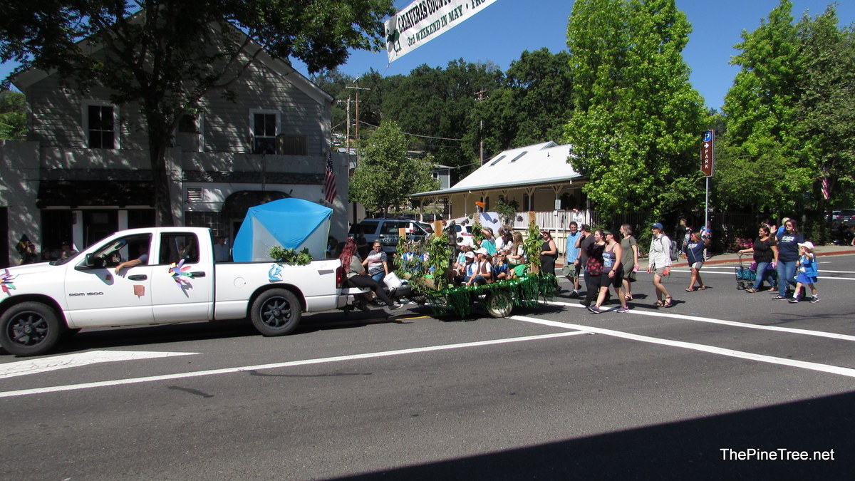 FrogJumParade24 (10)
