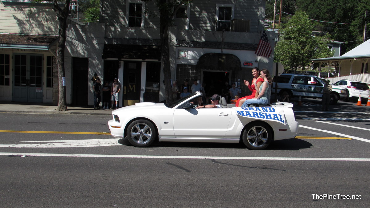 FrogJumParade24 (5)
