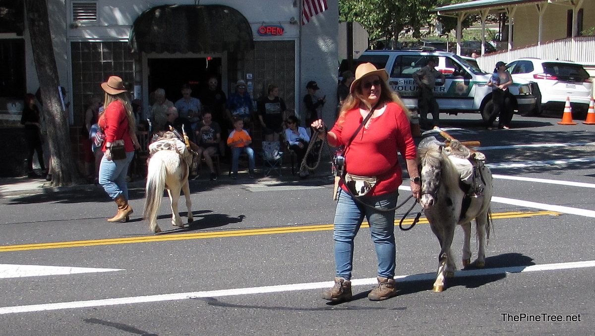 FrogJumParade24 (51)