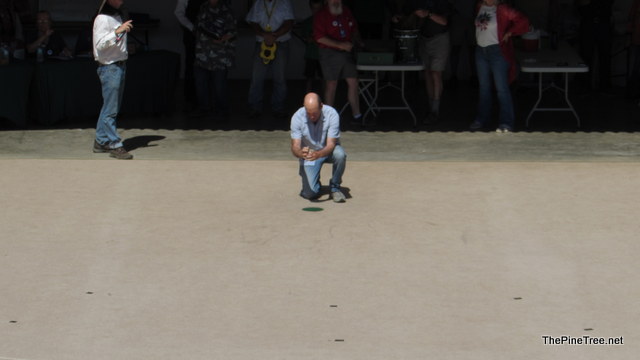 FrogJump241 (105)
