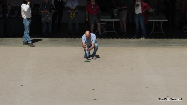 FrogJump241 (115)