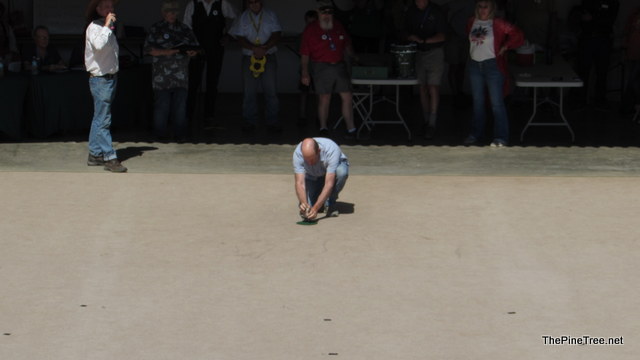 FrogJump241 (122)