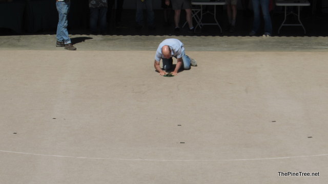 FrogJump241 (133)