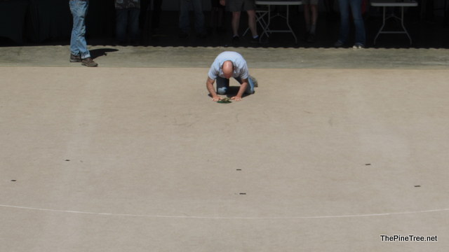 FrogJump241 (136)