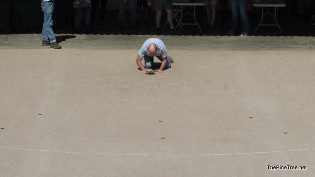 FrogJump241 (137)