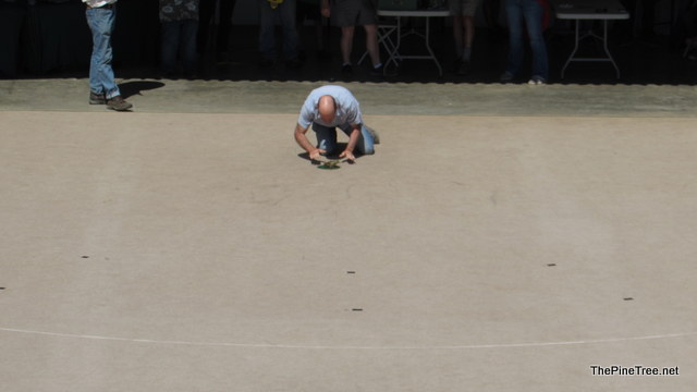FrogJump241 (138)