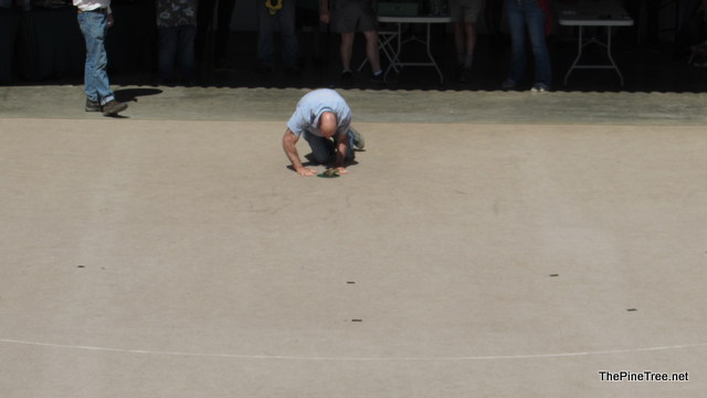 FrogJump241 (139)