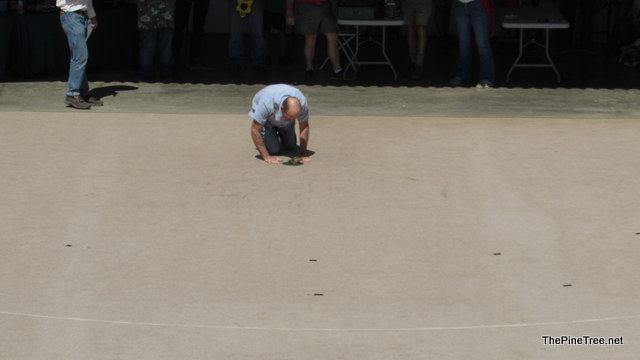 FrogJump241 (140)