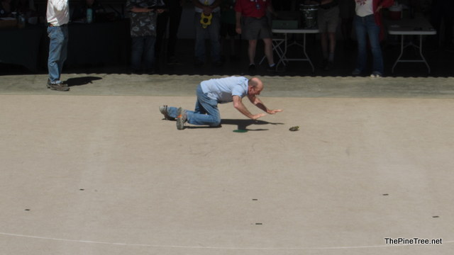 FrogJump241 (145)