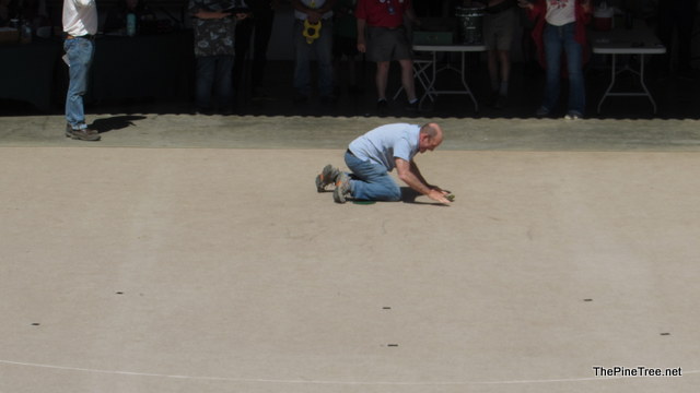 FrogJump241 (148)