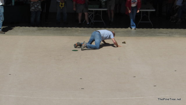 FrogJump241 (158)