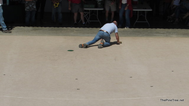 FrogJump241 (162)