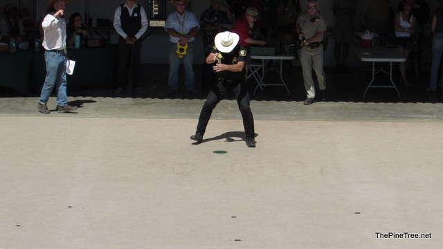 FrogJump241 (67)