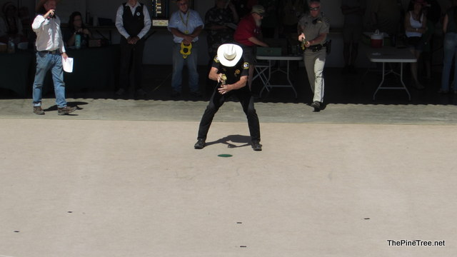 FrogJump241 (68)
