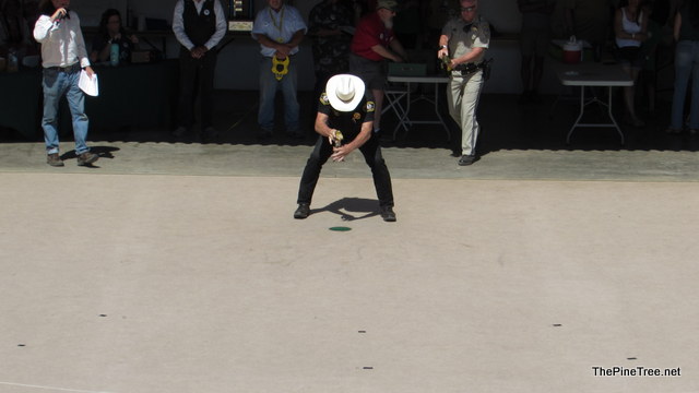 FrogJump241 (69)