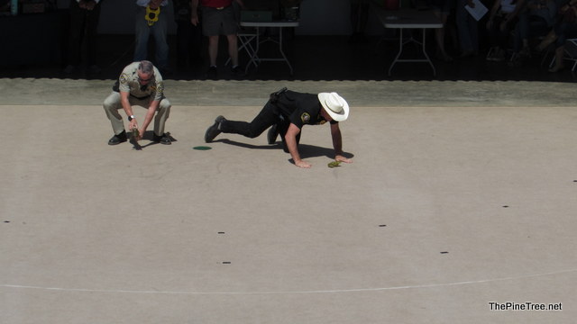FrogJump241 (81)