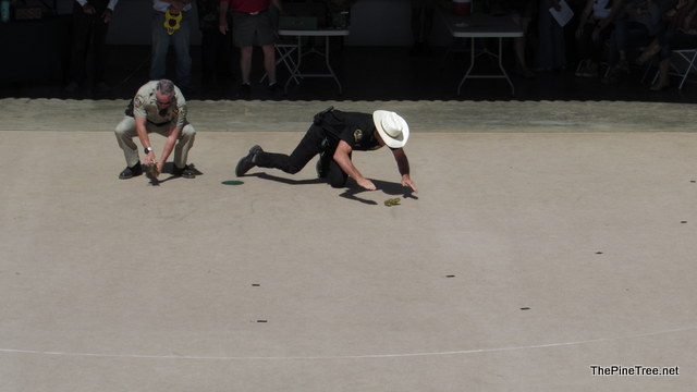 FrogJump241 (82)