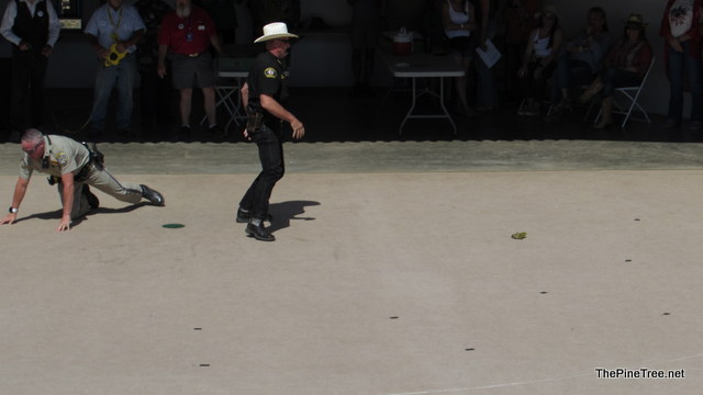 FrogJump241 (97)