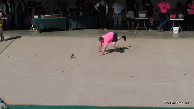 FrojJump242 (1355)