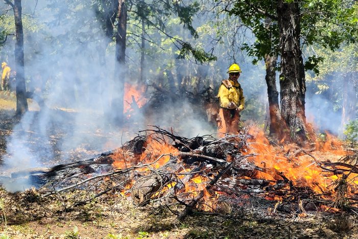Pile Burning Continues on Mi-Wok/Summit Ranger District