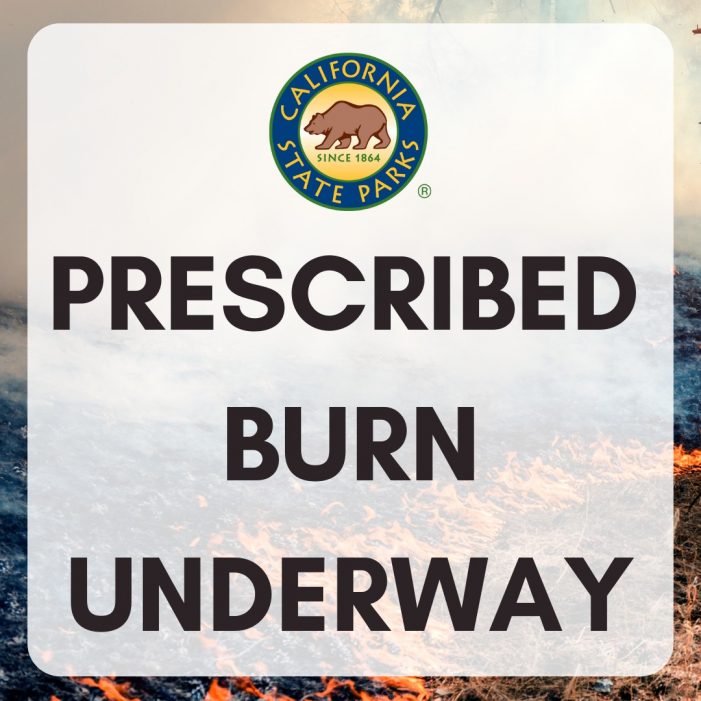 Smoke in Arnold Area from Prescribed Burn at Big Trees State Park
