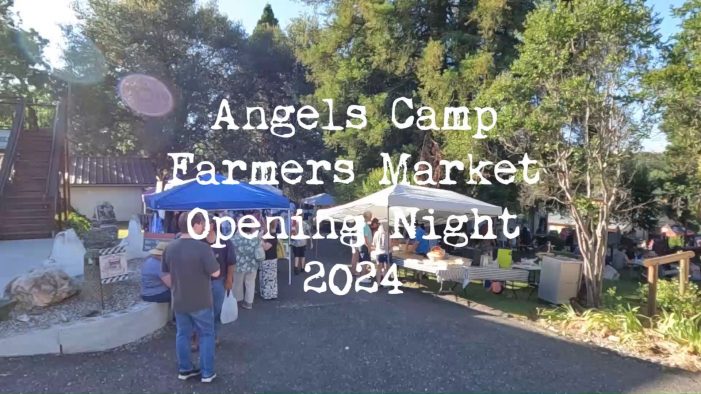 Angels Camp Farmers Market Season Opening Day Photos & Video!