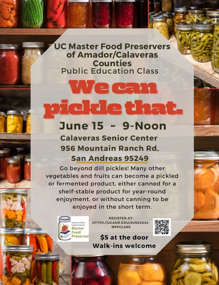 Go Beyond Dill Pickles with UCCE Master Food Preservers