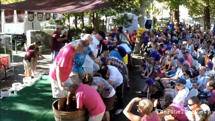 Mornings with the One Percent™ Classic Rewind, The 2014 Grape Stomp Video