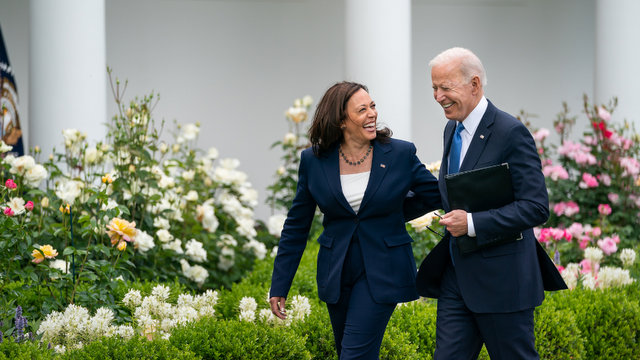 Joe Biden Will Not Seek Reelection.  Endorses Kamala