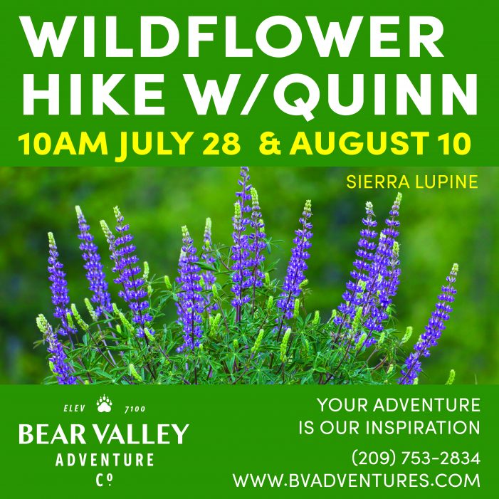 Wildflower Hike with Quinn!  Next Hike on August 10th