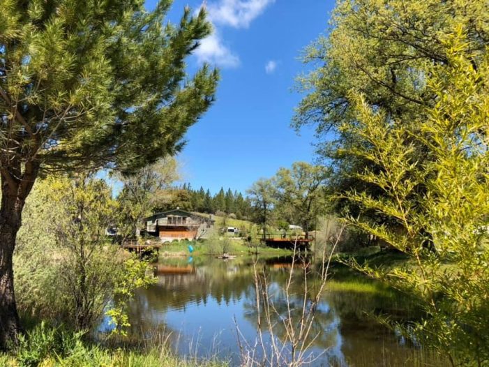 Your 10 Acre Agritourism Sancturary Awaits!  Multiple Dwellings, Sauna, Outdoor Kitchen & More!  Call Toby Today at 209.768,8629