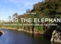 “Seeing the Elephant” Part One