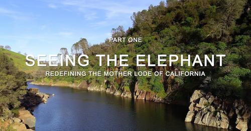 “Seeing the Elephant” Part One