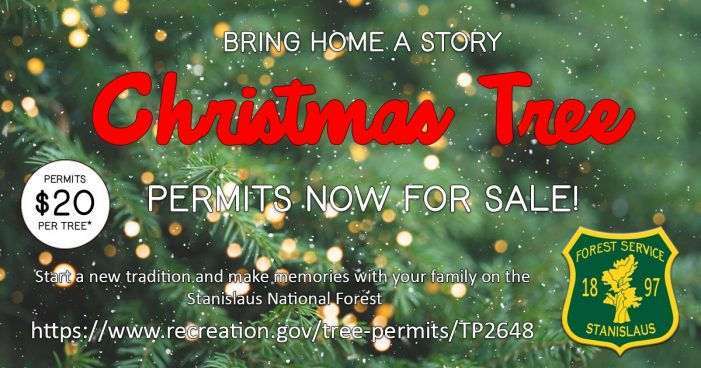 Christmas Tree Permits are Now on Sale!!  Individuals Can Harvest Trees the Day After Thanksgiving