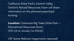 California State Parks and CAL FIRE Plan Prescribed Burns at Calaveras Big Trees State Park