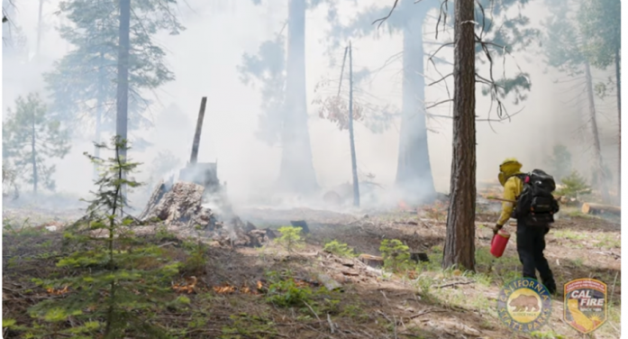 California State Parks and CAL FIRE Plan Prescribed Burns at Calaveras Big Trees State Park