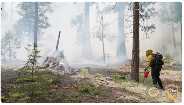 California State Parks and CAL FIRE Prescribed Burns at Calaveras Big Trees State Park Start Tomorrow!