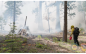 California State Parks and CAL FIRE Plan Prescribed Burns at Calaveras Big Trees State Park