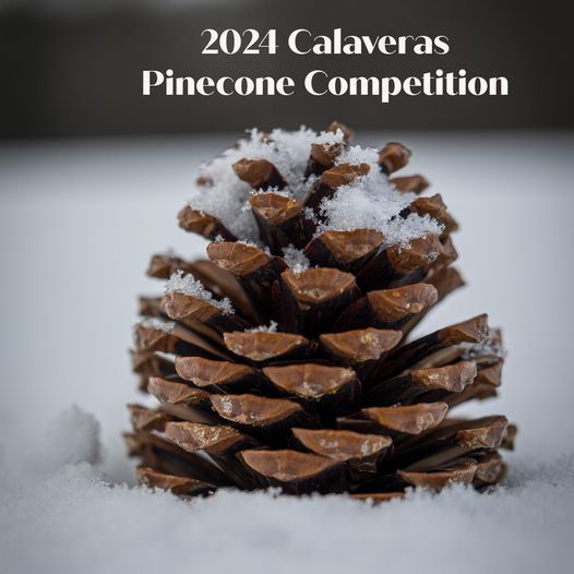 Calaveras County Hosts Sugar Pinecone Competition