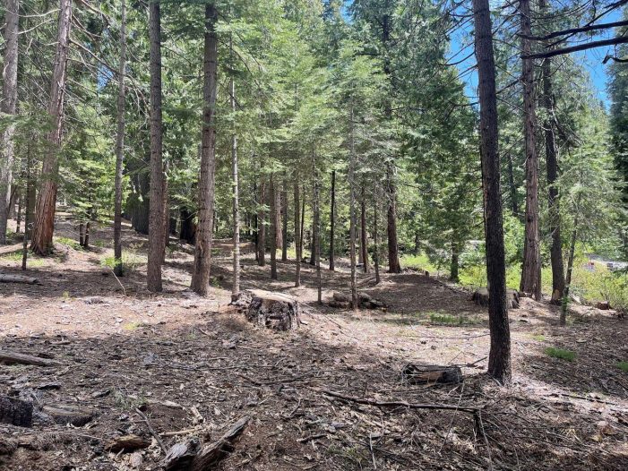 Beautiful, Large, Private Lot in Big Trees Village only $53k ~ Call Toby Jodan Today at 209.768.8629