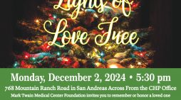 The 2024 MTMC Foundation’s Lights of Love Tree Lighting